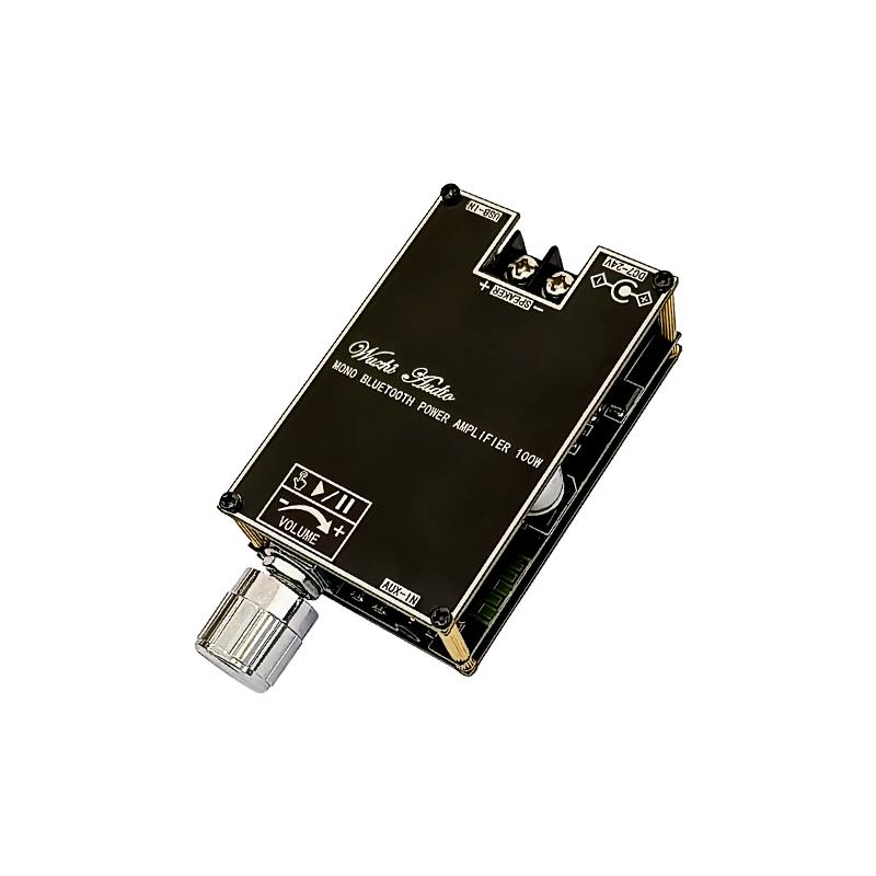 Módulo Amplificador de Audio B - Audio Home Cinema reseña y precio